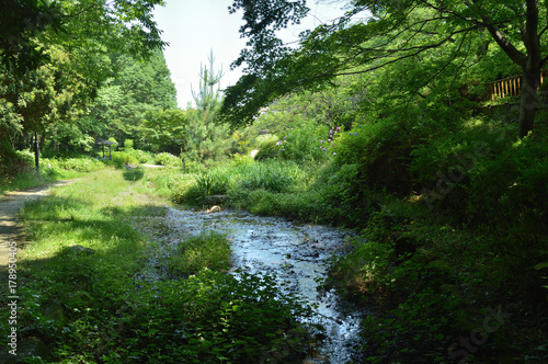 晴れた日の公園、水の流れと散歩道