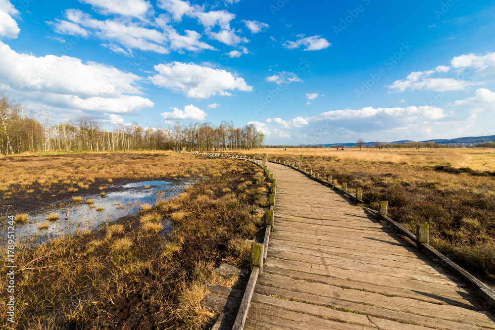 Fototapeta premium Moorlandschaft