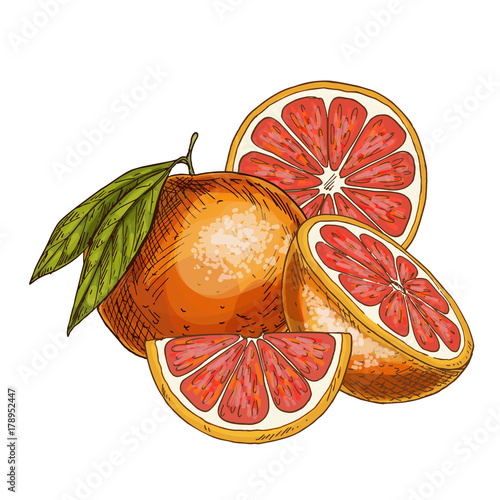 Grapefruit, half of fruit, slice. 