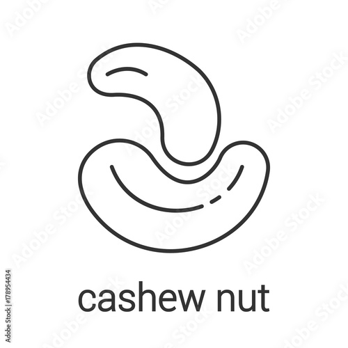 Fototapeta Naklejka Na Ścianę i Meble -  Cashew nut linear icon