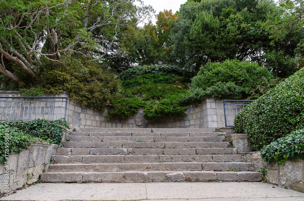 alley in botanical garden