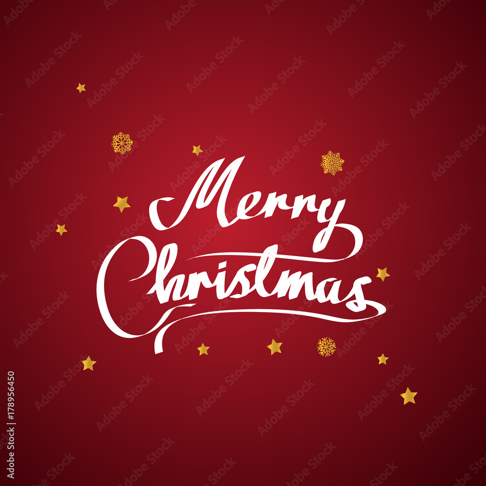 Merry Christmas vector text and New Year Xmas background. with beautiful various snowflakes,