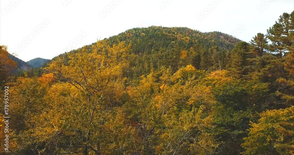 Ascending above trees, breathtaking aerial view of hills and mountains covered with autumn forests. Sikhote-Alin Nature biosphere Reserve in Russia for endangered Siberian tiger founded in 1935