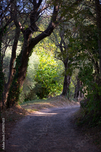 liguria