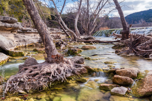 water flows past tree roots in the Greenbelt outside of Austin, Texas photo