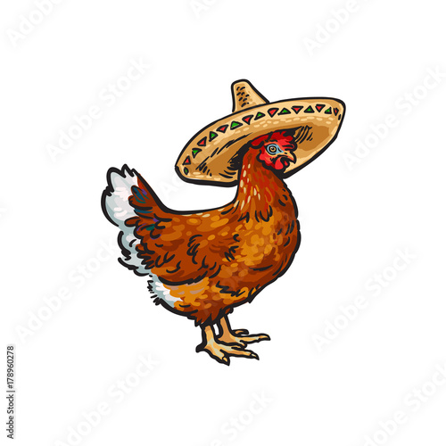 vector cartoon hand drawn sketch brown colored chicken in sombrero. Isolated illustration on a white background. Farm poultry bird