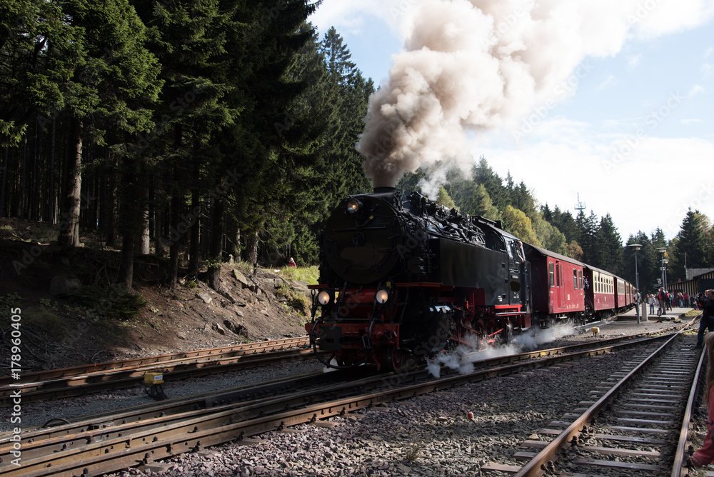 Dampflok, Schmalspurbahn