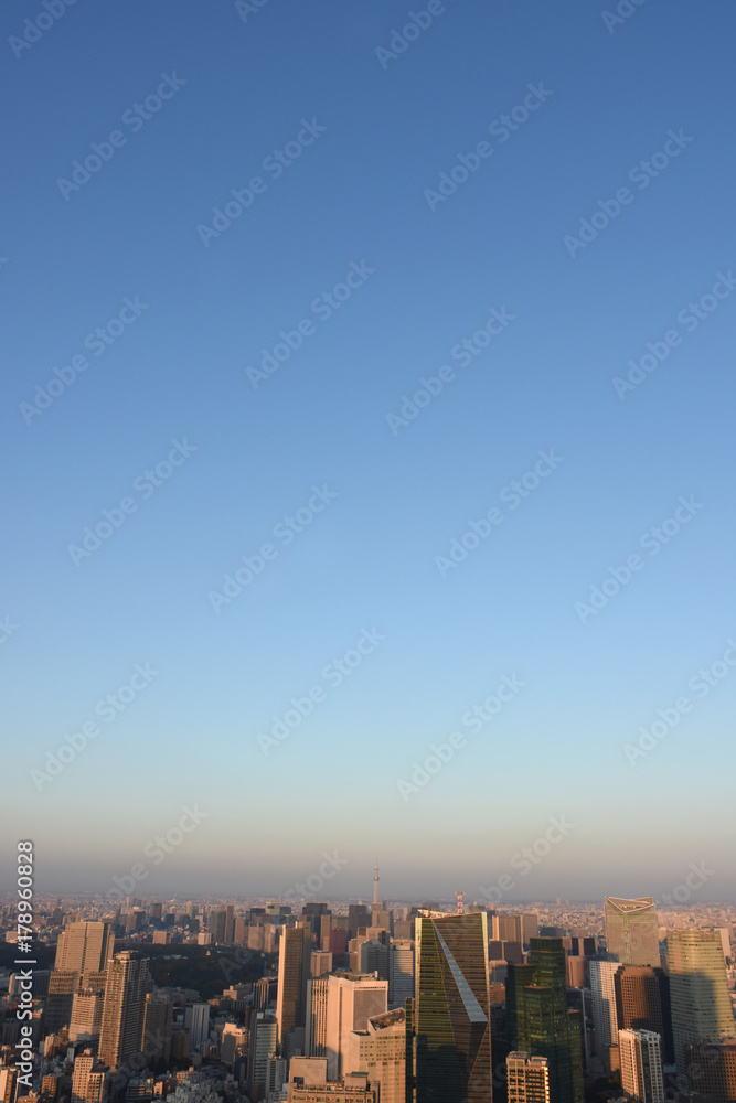 Fototapeta premium 日本の東京都市風景・青空「千代田区や港区方面などを望む」