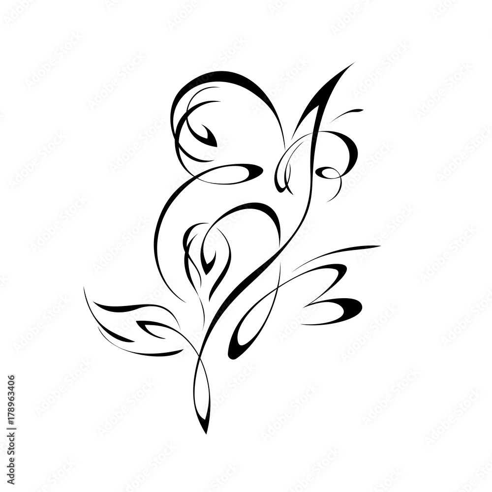 ornament 167. abstract floral ornament in black lines on a white background ornament 167. abstract floral ornament in black lines on a white background