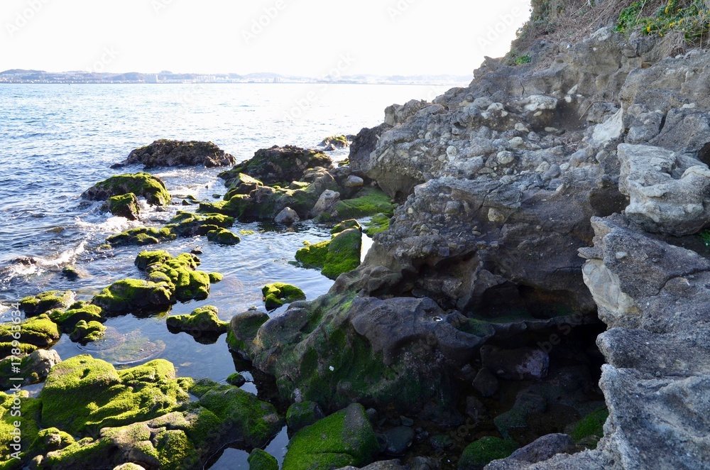 日本 神奈川県 横須賀市 猿島 天空の城ラピュタ 要塞 砲台 japan kanagawa yokosuka saru shima