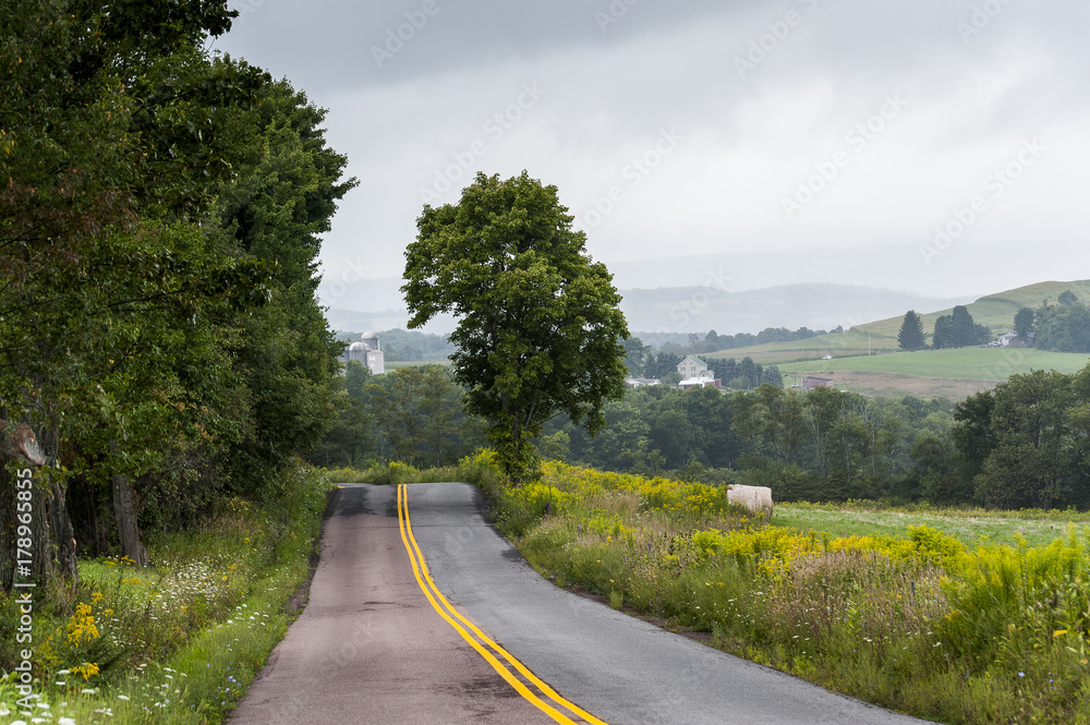 Fototapeta premium Wunderlust - Appalachian Mountains - Western Maryland