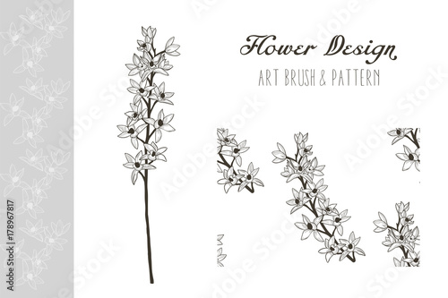 Flower Design. Art Brush and Pattern. Vector