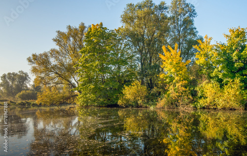Trees in autumnal colors reflected in the water