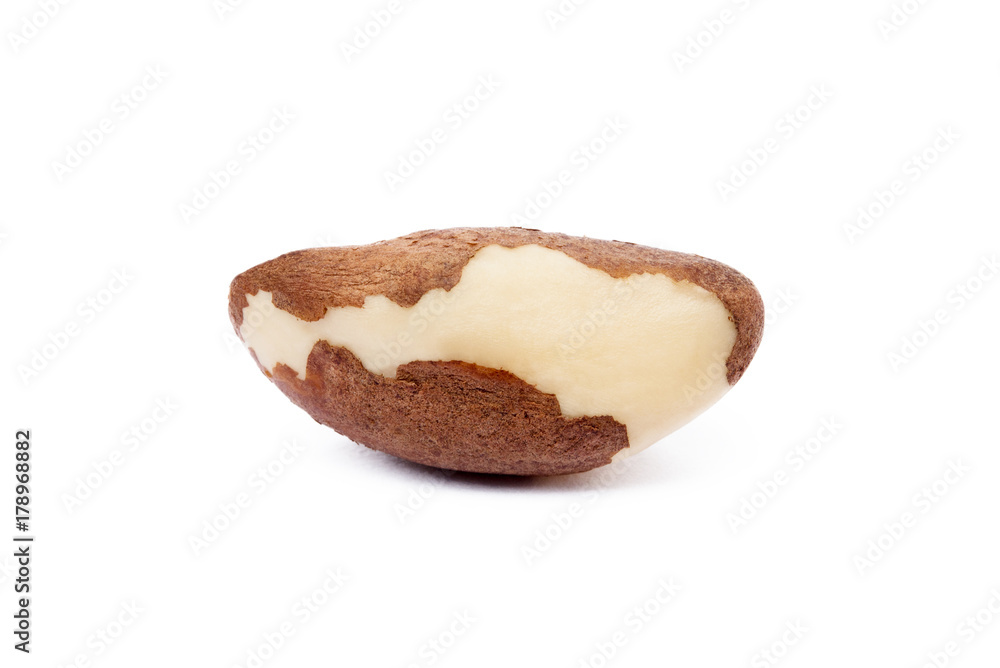 Para nuts isolated on a white background Para nuts isolated on a white background