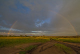 African landscape with Rainbow