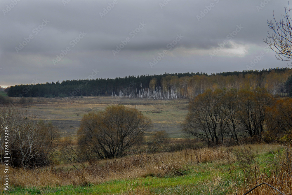 Autumn field.