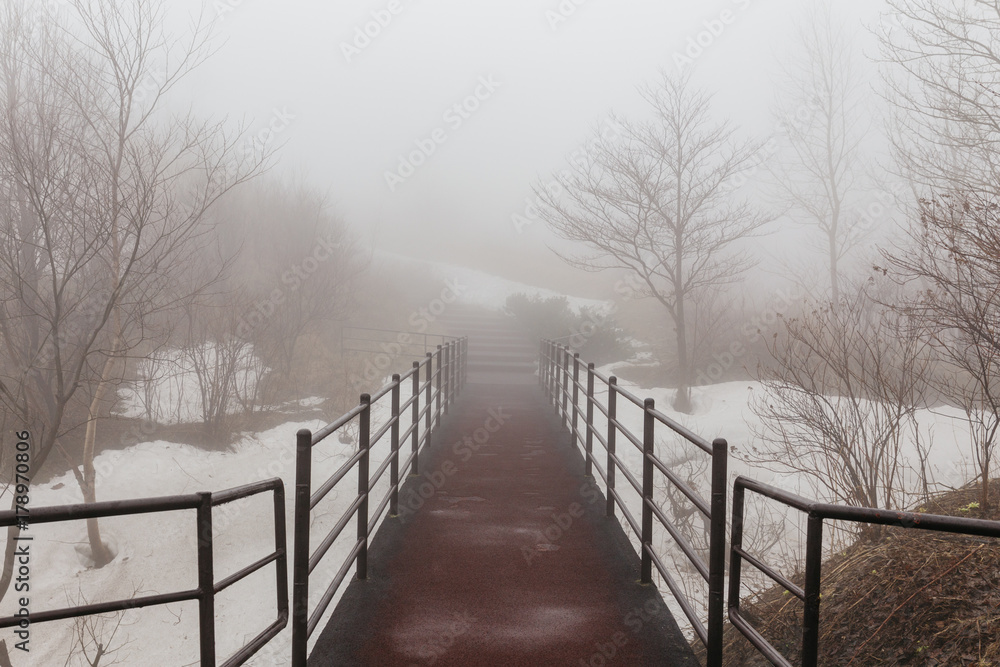 Walkway with Leafless trees and snow on the ground with fog at Mount Usu in winter in Hokkaido, Japan. Walkway with Leafless trees and snow on the ground with fog at Mount Usu in winter in Hokkaido, Japan.