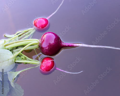 Radish in water