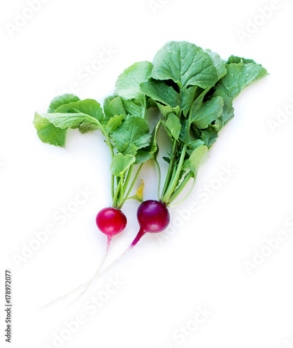 Radish