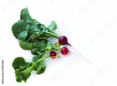 Radish