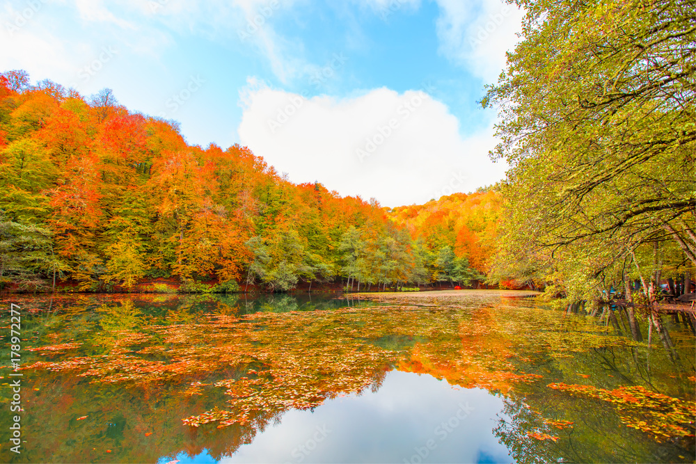 Yedigoller National Park, Bolu