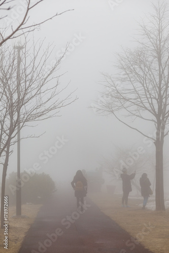 Leafless trees with tourist on path with fog at Mount Usu in winter in Hokkaido, Japan.