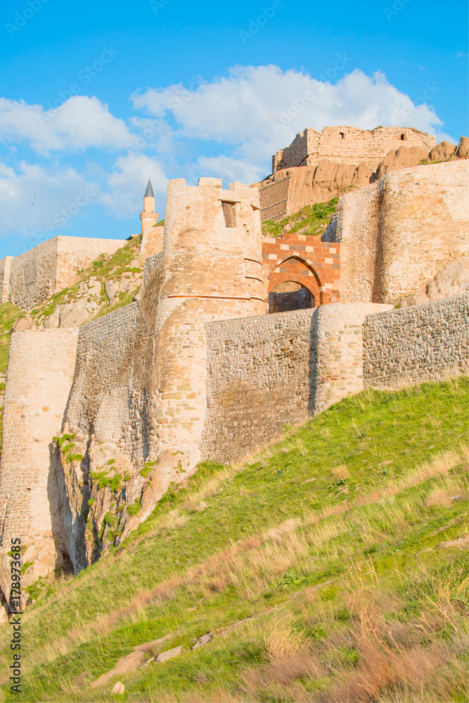 Naklejka premium The old castle at Van - Eastern turkey