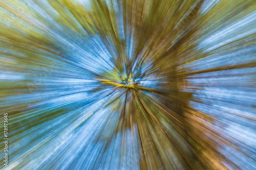 Abstract nature background of tree crown on the background of sky in motion blur 