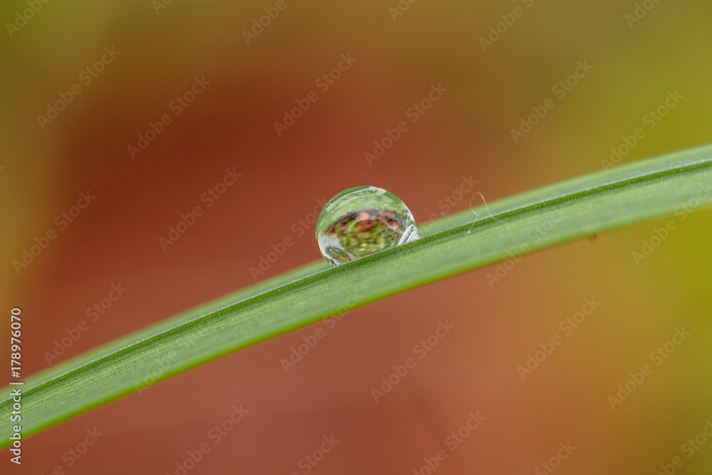 wassertropfen wassertropfen
