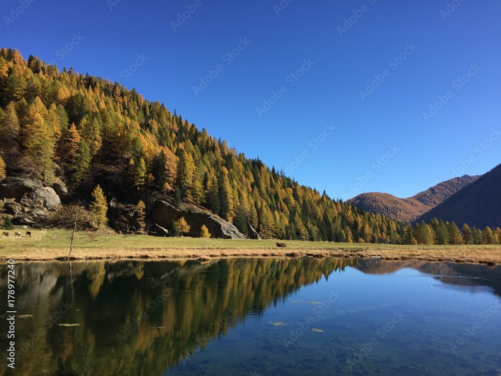 paesaggio autunno lago modella foglie colori 