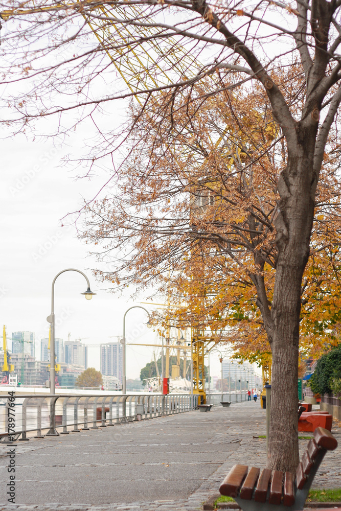 Puerto Madero sidewalk