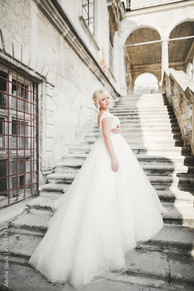 Obraz premium Beautiful luxury bride in elegant white dress