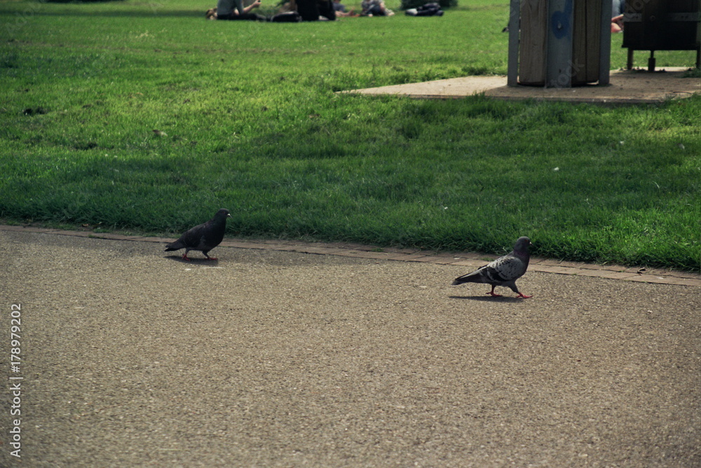 Obraz premium Marsch