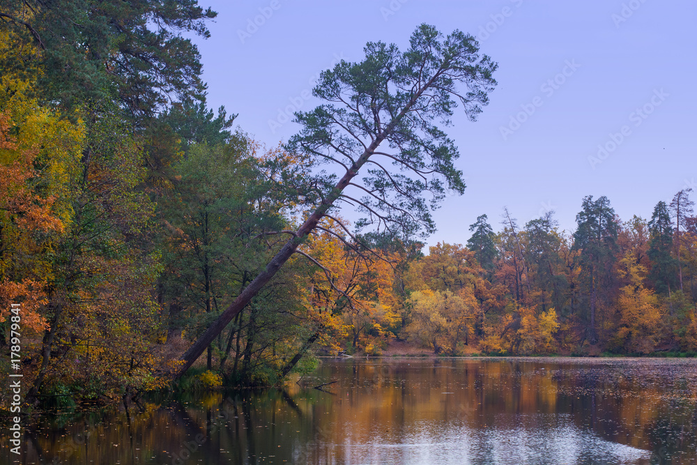 Autumn landscape, forest around the lake