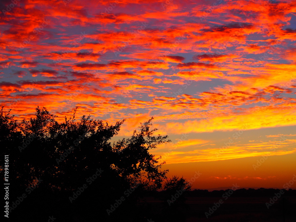 Fototapeta premium OLYMPUS DIGITAL CAMERA