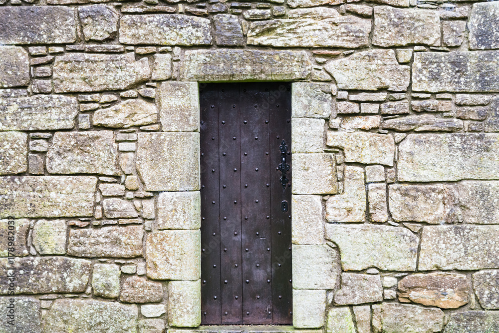 Ancient Studded Wooden Door