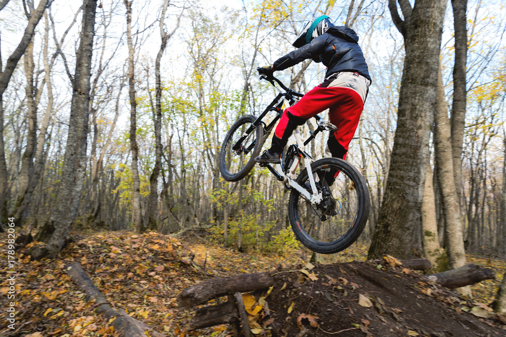 a young rider at the wheel of his mountain bike makes a trick in jumping on the springboard of the downhill mountain path in the autumn forest a young rider at the wheel of his mountain bike makes a trick in jumping on the springboard of the downhill mountain path in the autumn forest