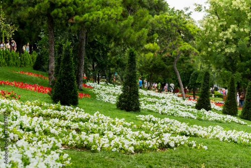 Fototapeta Naklejka Na Ścianę i Meble -  flowers on flower beds and shrubs in landscape design