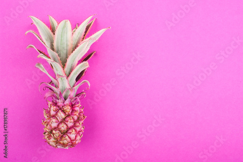 Pink pineapple on pink