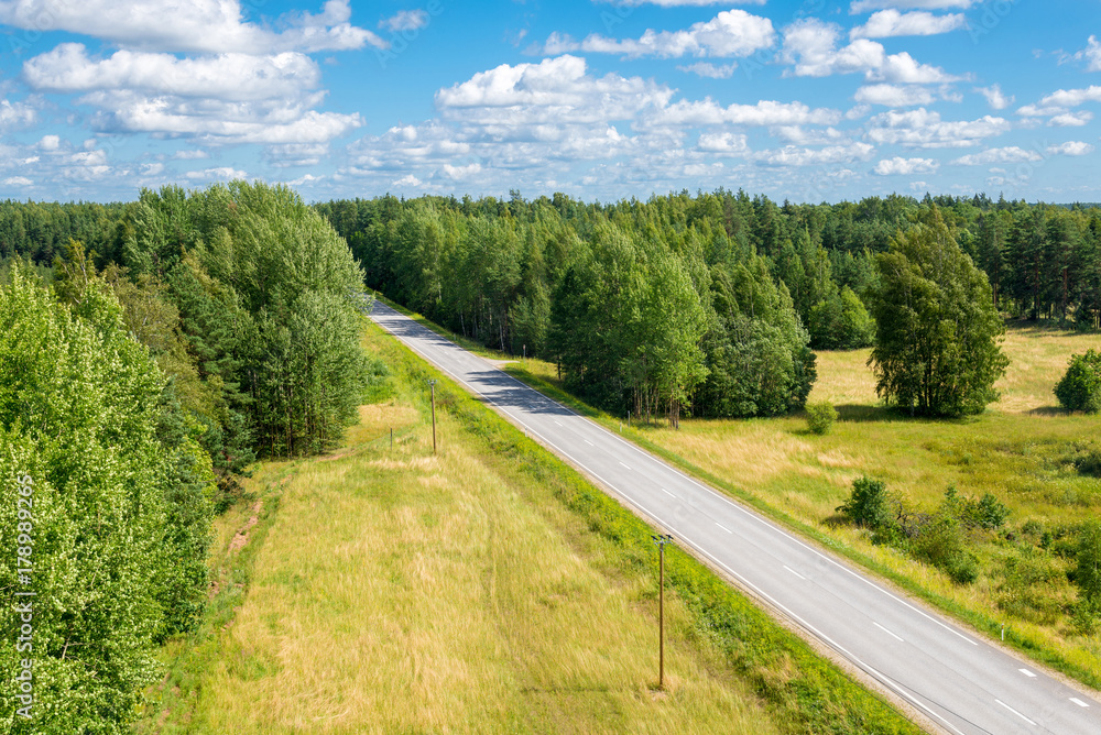 summer landscape with road among the forest (top view)