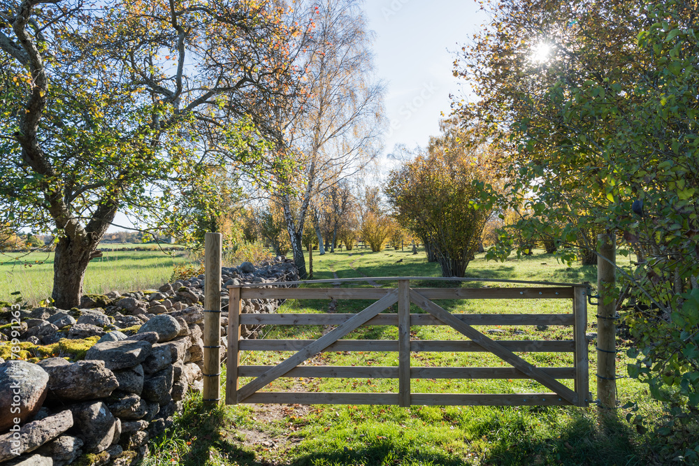 Fototapeta premium Wooden gate in a colorful landscape