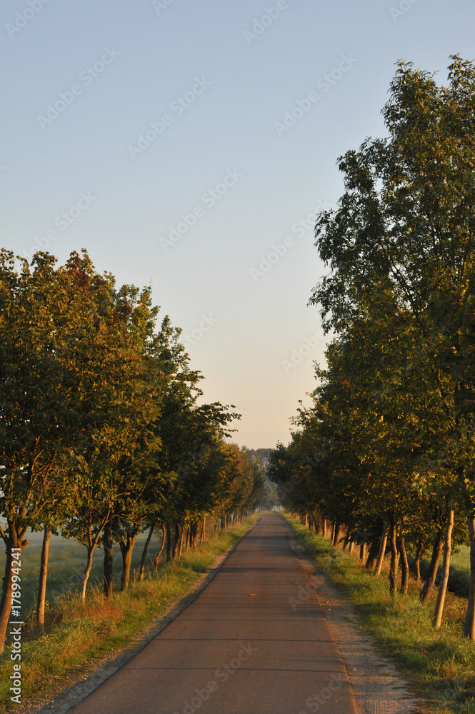 Obraz premium Spreewald