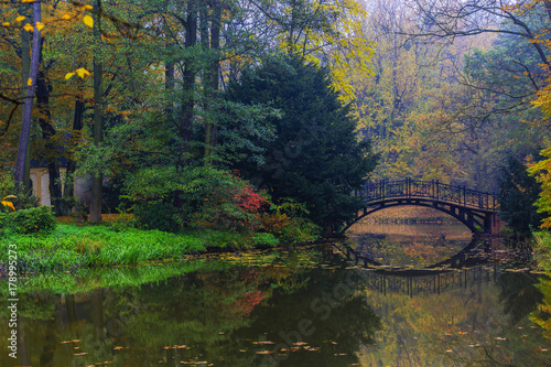 Fototapeta Naklejka Na Ścianę i Meble -  Scenic view of misty autumn landscape with beautiful old bridge in the garden with red maple foliage.
