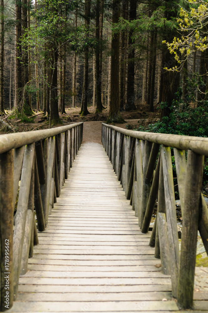 Wooden bridge over the Shimna River, Northern Ireland, as featured in a scene from Game of Thrones Wooden bridge over the Shimna River, Northern Ireland, as featured in a scene from Game of Thrones