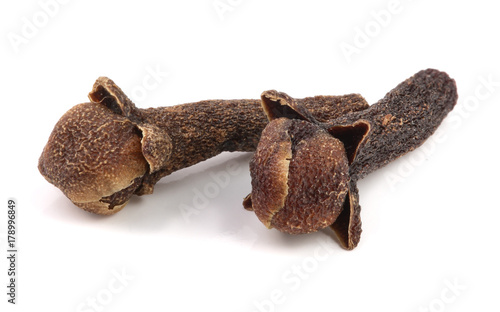 dry spice clove isolated on white background macro © kolesnikovserg