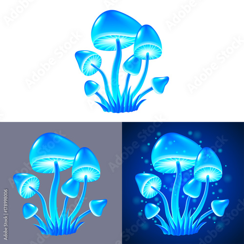 magic mushrooms isolated vector