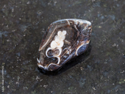 tumbled Turritella Agate gemstone on dark photo