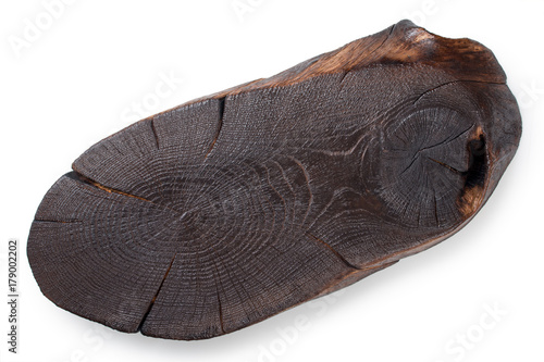 Oak cutting board, burnt log slice cutted tree trunk isolated on white background, top view.
