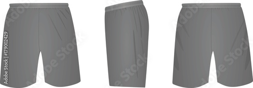 Grey shorts. vector illustration