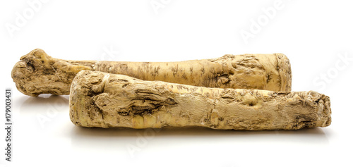 Two fresh horseradish roots isolated on white background photo